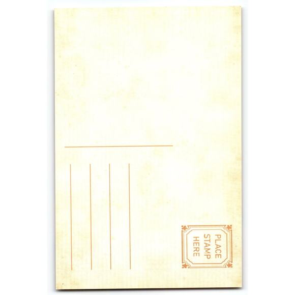 Vintage Halloween Witch Girl with Black Cat & Pumpkins Postcard 5.5x4" - Picture 2 of 2